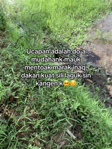 amiin meaning and Lombok Ulak story — cerita Sasak
