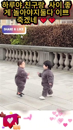 Haru, play nicely with your friend. You’re both just too cute for words. ❤❤