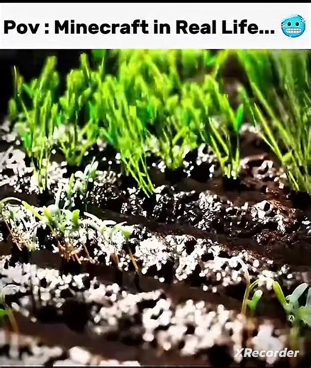 Pov: Minecraft in Real Life...☠️💀