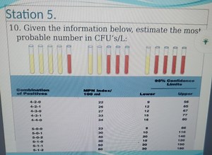 Given the following table, estimate the most probable number (M... | Filo