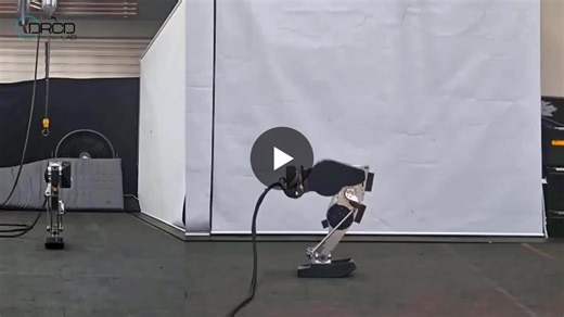 #bipedal #humanoid #robot #singleleg #sim2real #balance #hopping #flip… | Takayuki Y.