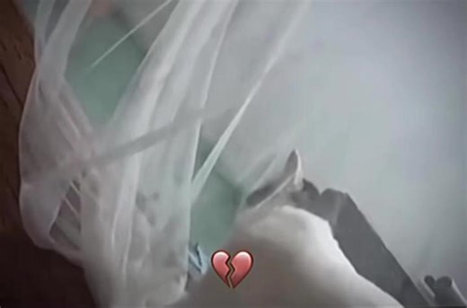 Huh😦 #memestiktok #memes #meme #catmemes