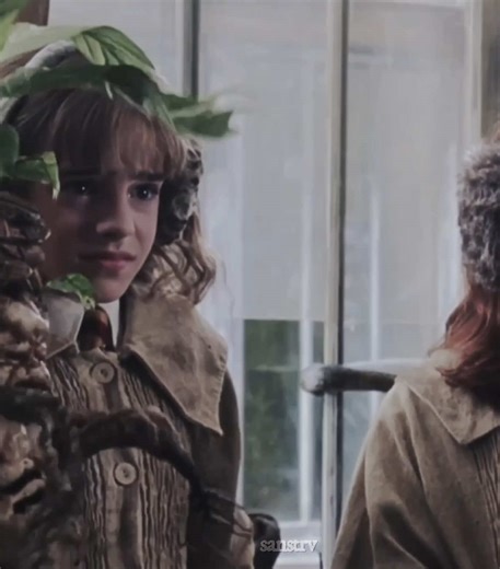 Hermione Granger & Dangerous Mandrakes at Hogwarts