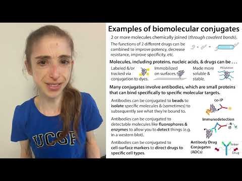Biomolecular conjugates