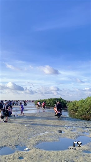 北海红树林日出日落赶海基地海边赶海
