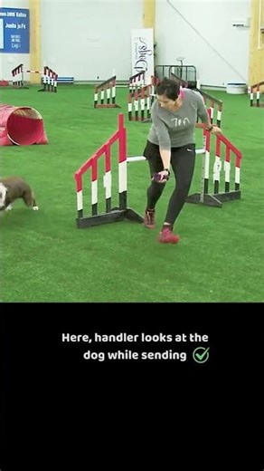 Connection solves so many agility problems!
