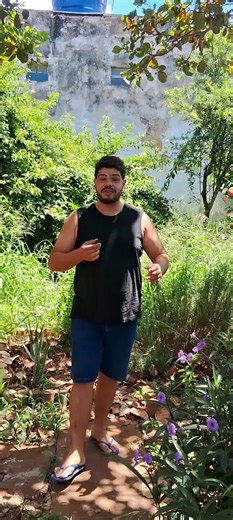 Como o Aprendiz digital limpa seu quintal⁉️#creatorsearchinsights #finaldeano #capcut