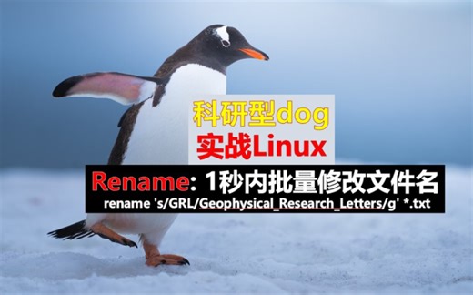 实战Linux - rename指令 - 批量修改文件名