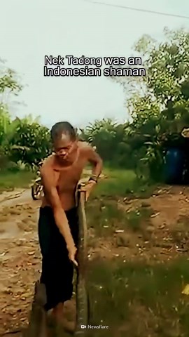 How to survive a king cobra bite in the wild