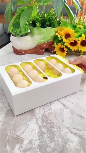 Top Kitchen and Bathroom Gadgets on Amazon