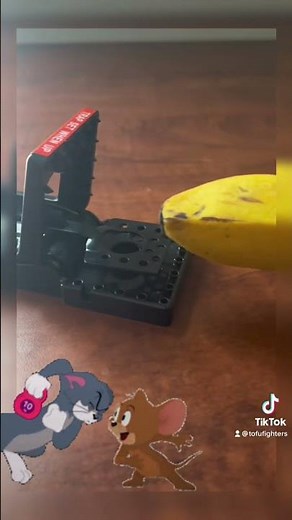 Jawz mouse trap test #mousetrap #trap #mouse #rodent #jawz