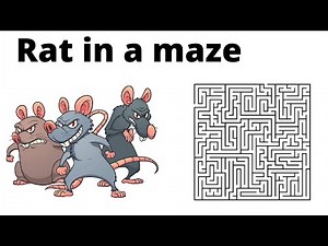 Rat in a maze | Backtracking | Hindi