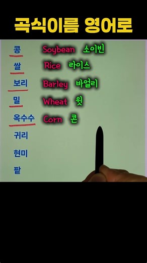 곡식이름 영어로? | 쉬운영어단어 | 기초영어회화 #shorts #영어듣기 #영어공부