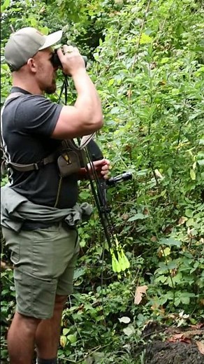 The best ILF Longbow limbs? #griptotip