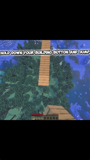Backward speed, bridge tutorial
