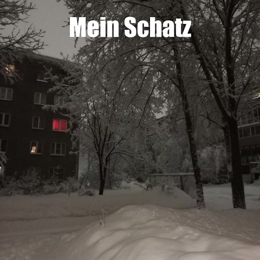 Hass unb Liebe: Exploring German Song Lyrics