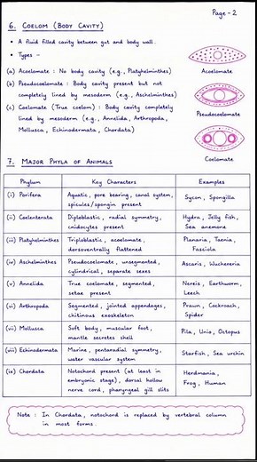 Class 11 Biology Animal Kingdom Handwritten Notes | Quick Revision