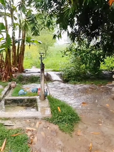 Rainfal In Punjab Village ☔