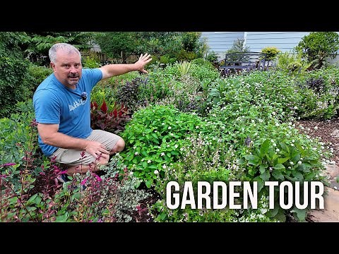 My New Favorite Part of the Garden - Full Detailed Small Garden Tour P5