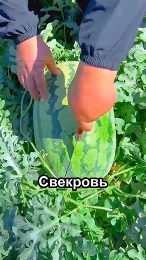 История врача из переписок Reddit — рассказ из жизни