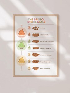 Bristol Stool Scale Poster, Medical Human Anatomy Wall Art, Funny Poop Chart Print, Digestive System Education Print, Nurse Office Art - Etsy