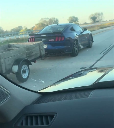 What are you doing with your life, Dieter? Car Spotting | The Ford Mustang sports car & work horse!