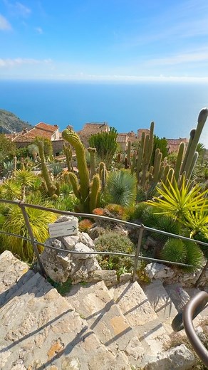 Surplombant la Méditerranée, ce village de la Côte d’Azur est un incontournable ! Avec son jardin exotique et cactus qui piquent le ciel, ces ruelles piétonnes au charme inégalable, et ses multiples points de vue presque aériens, EZE à voir absolument ! 🇬🇧𝘖𝘷𝘦𝘳𝘭𝘰𝘰𝘬𝘪𝘯𝘨 𝘵𝘩𝘦 𝘔𝘦𝘥𝘪𝘵𝘦𝘳𝘳𝘢𝘯𝘦𝘢𝘯 𝘚𝘦𝘢, 𝘺𝘰𝘶 𝘤𝘢𝘯 𝘯𝘰𝘵 𝘮𝘪𝘴𝘴 𝘵𝘩𝘪𝘴 𝘷𝘪𝘭𝘭𝘢𝘨𝘦 𝘰𝘯 𝘵𝘩𝘦 𝘍𝘳𝘦𝘯𝘤𝘩 𝘙𝘪𝘷𝘪𝘦𝘳𝘢! 𝘞𝘪𝘵𝘩 𝘪𝘵𝘴 𝘦𝘹𝘰𝘵𝘪𝘤 𝘨𝘢𝘳𝘥𝘦𝘯 𝘵𝘩𝘢𝘵 𝘤𝘢𝘳𝘦𝘴𝘴𝘦𝘴 𝘵𝘩𝘦 𝘴𝘬𝘺,