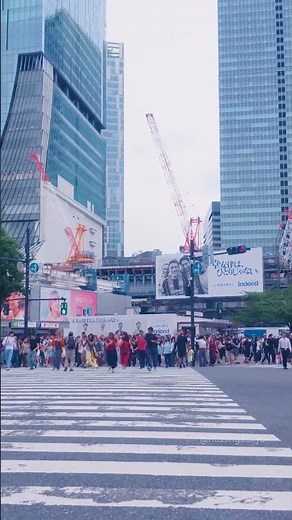 渋谷スクランブル交差点、上から眺めたことある？