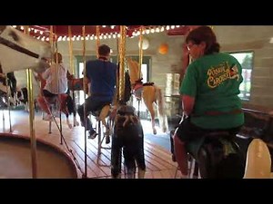 Antique Carousel, Ferry County Fairgrounds, On-Ride