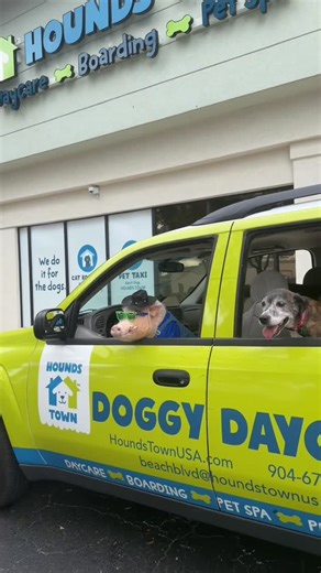 Prissy and Pop on Instagram: "Pop got the privilege of driving the pet taxi today to drop off our rescues Hope, Maggie and Ruby Rose for a fun day of play @houndstownbeachblvd (just voted the best day-care/boarding facility in Jacksonville, FL). It’s our go to place for our pups. They will pick your pet up in this cool pet taxi for day care, boarding or even a spa day. Who thinks Pop should apply for a summer job?🐷💚🐶💙 #HoundsTownBeachBlvd #PrissyandPop #PrissyandPopsHelpingHooves"
