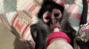 47K views · 4.4K reactions | Night night everyone 冀 | Our Life Adventures | Facebook