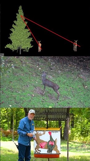 Shooting at an Elevated Position