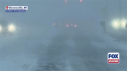WHITEOUT❄️: Intense lake-effect snow along Lake Michigan is causing quite the hazard as whiteout conditions impair drivers in Stevensville, Michigan. | FOX Weather