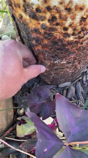 Why You Should Check Your Well Casing