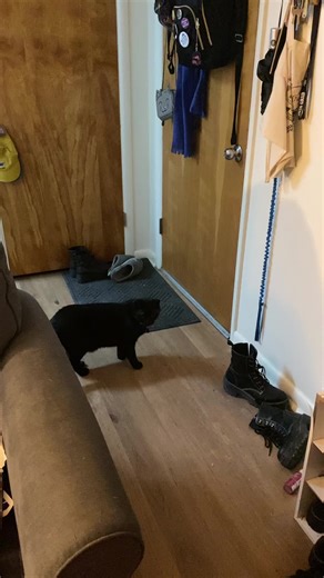 Marrow (@theboniestofmarrow)’s videos with original sound - Marrow