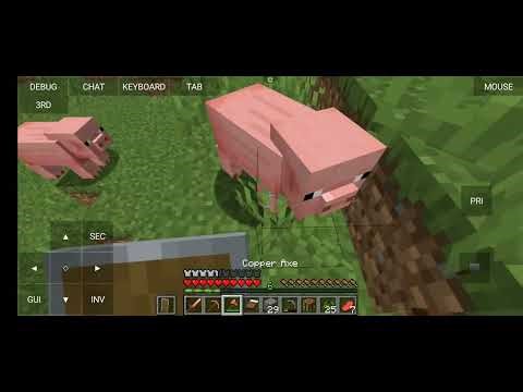 Minecraft Java edition play Survival series episode 2