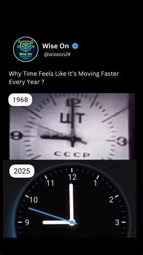 Wise On | Ever Feel Like the Years Are Shorter Now? You’re not imagining— scientists say our perception of time is changing. From 1968 to 2025,... | Instagram