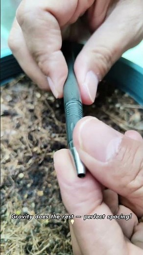 Genius DIY Seeder from a Pen Shell ✏️🌱