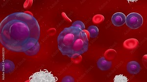 Activated t-cells attack and destroy a divided lymphoma cell 3d render animation