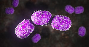 Science Photo of bacteria A coccobacillus is a type of bacterium with...