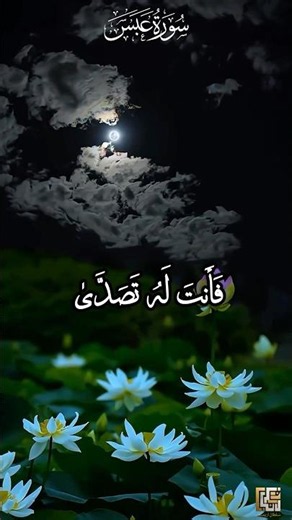 سورة عبس | Surah ’Abasa | Beautiful Quran Recitation | Reciter: Sultanul Arifien