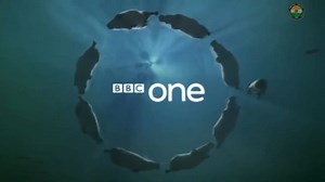 Codex Pajeet 3 (David Attenborough Documentary | 2025)