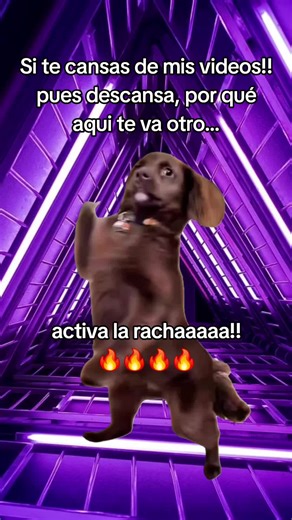 Activate the Racha: Join the Fun!