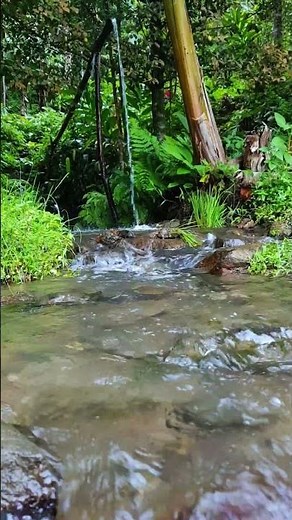 Bamboo Waterfall ASMR | Natural Stream Sounds for Deep Relaxation #ASMR #WaterSounds #Nature
