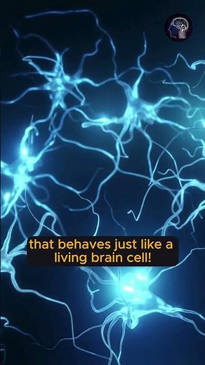 An Artificial Neuron That Talks to Real Brain Cells!