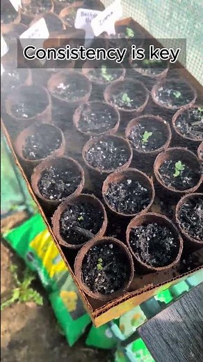 I thought nothing was happening… then this (Day 6) 🌱