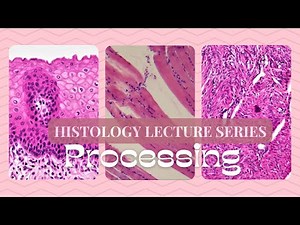 Processing-Histology Lecture Series