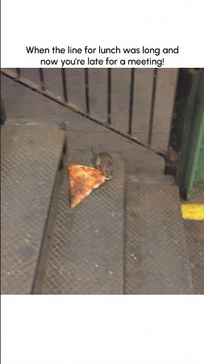 Pizza Rat Turns 8 Years Old!