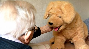 Robotic dog in Dorset care home helps elderly residents
