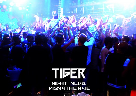 Welcome To Phuket, Welcome To TIGER. Visit Us For Short, You Will Stay For Long. | Tiger night club